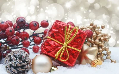 Saguaro Foundation Christmas Party